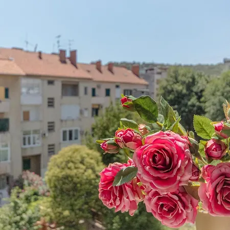 Stylish Olga Near And Old Town * Спліт